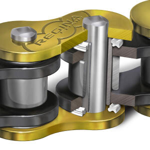 Kettensatz für Suzuki GSX-R 750 L1,L2,L3,L4,L5 mit Regina ZRTO Kette Z-Ring in Gold