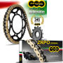 Chain & Sprocket Kit  for Kawasaki Z 1000 (ZR1000 EBF,ECF,EDF,EDFA) ABS Regina Z-Ring gold ZRPO race chain