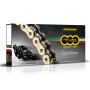 Chain & Sprocket Kit  for Kawasaki Z 1000 (ZR1000 EBF,ECF,EDF,EDFA) ABS Regina Z-Ring gold ZRPO race chain