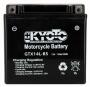 Kyoto Batterie GTX14L-BS SLA AGM 12V/12Ah YTX14L-BS für Harley Davidson und Buell
