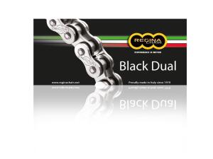 Regina ZR-Kette 525ZRA 116off+Niet