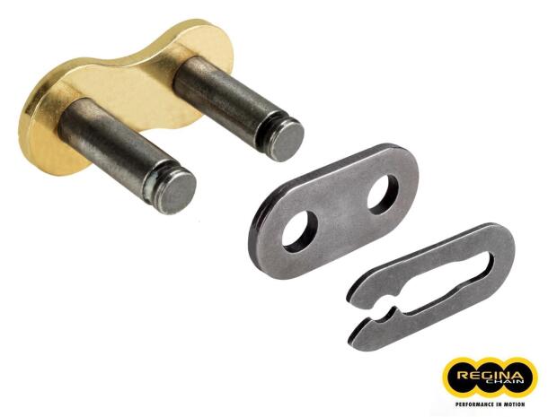 Chain link Regina clip link 415ORO