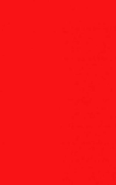 Startnummernuntergrund rot 100 x 35 cm