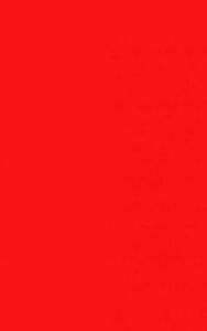 Startnummernuntergrund rot 100 x 35 cm