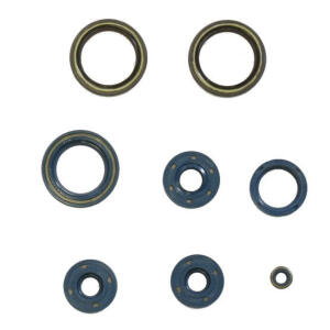 Motorsimmerringsatz Sachs 3 Gang Motor 50/3 Pedalwellen