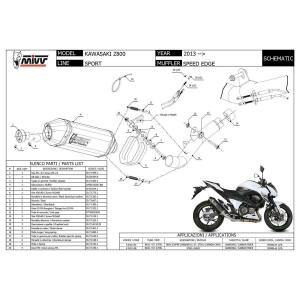 MIVV Auspuff für Kawasaki Z 800 13-16 Speed Edge schwarz Slip-On