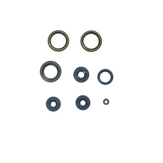 Motorsimmerringsatz für HONDA CB750Four - 79100111