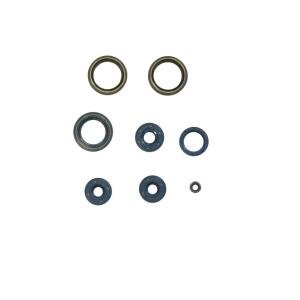 Motorsimmerringsatz für HONDA CB750Four - 79100111