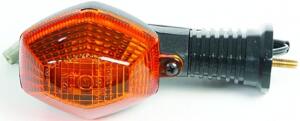 Blinker passend für SUZUKI DR-Z400 ab 00 GSF1200 ab...