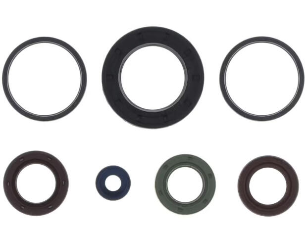 Engine Oil Seals Kit for Piaggio NRG Vespa LXV Gilera Runner Stalker 50 Piaggio engine