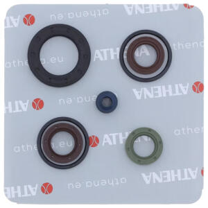 Motorsimmerringsatz für Piaggio NRG Vespa LXV Gilera...