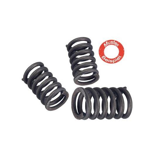 Kupplungsfedern ZÜNDAPP 8er Pack