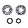 Kurbelwellenlager und Simmerringe Kymco DJ 50 W/Y 93-00 Reparatursatz