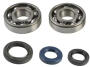 Kurbelwellenager und Simmerringe Honda CR 125 80-06 Reparatursatz