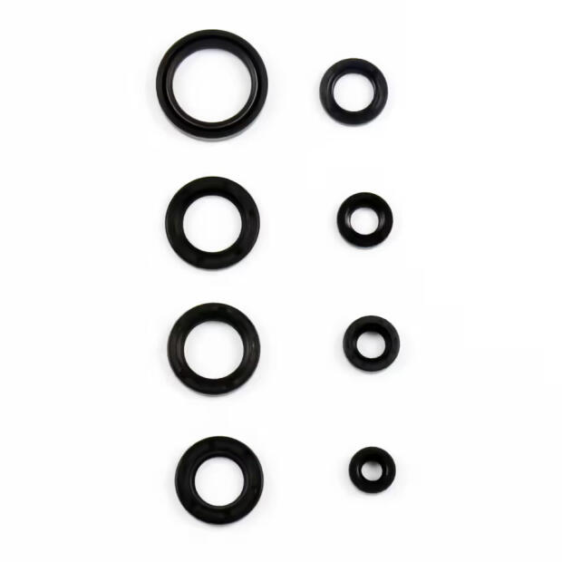 Motor Simmeringe für Honda NSR 125 & CRM 125 8-teiliges Set in OEM-Qualität