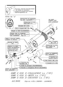 Échappement BMW G 650 X Challenge i.e. / X-Moto / X-Country LeoVince