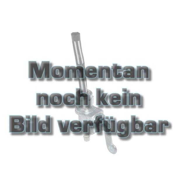 Kettenrad 56 Zähne für HONDA CT200 AUTO AG Baujahr 82-89