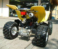 Hintere Kotflügel Neon GelbLT500R QuadRace