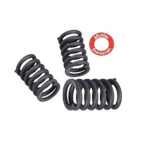 Kupplungsfedern für TRIUMPH Trophy 1200 92-