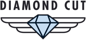 Kettensatz für Husqvarna SM 570 R mit wartungsfreier Regina Gold HPE Rennkette