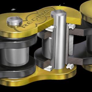 Kette Regina 520 x 100 HPE wartungsfrei Gold Rennkette