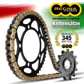 REGINA Kettensatz für YAMAHA YBR 125 Kettenkit ab Bj 07-