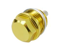 Ölablassschraube für BMW/Yamaha/Husqvarna/Cagiva Magnet gold M20x15