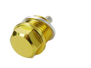 Ölablassschraube für BMW/Yamaha/Husqvarna/Cagiva Magnet gold M20x15