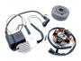 Kontaktlose Zündung Lichtmaschine 6V 85W wie Kokusan für Kreidler / Zündapp