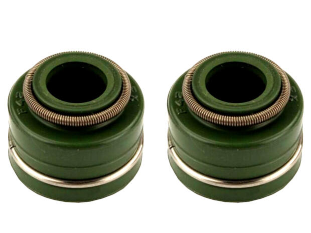 Ventilschaftdichtung für SMC Barossa Seikel Kreidler Derbi Sachs Reinmech Rex Kasea Explorer Quadzilla