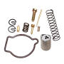 Vergaser Reparatursatz für 19 1/19 Bing Zündapp, Hercules, Kreidler, Puch