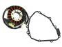 Lichtmaschine für Honda CBR 600 F2 F3 Super Sport PC25 PC31 91-98 CB 600 Hornet + Dichtung