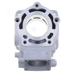 Cylinder for Aprilia RS 250 / Suzuki RGV 250