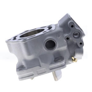 Cylinder for Aprilia RS 250 / Suzuki RGV 250