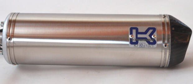 Auspuff DAELIM ROADWIN 125 Carbon Edelstahl