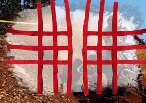 Nerfbar Netz Quad ATV rot 3 & 3 Bänder z.B. YFM700R