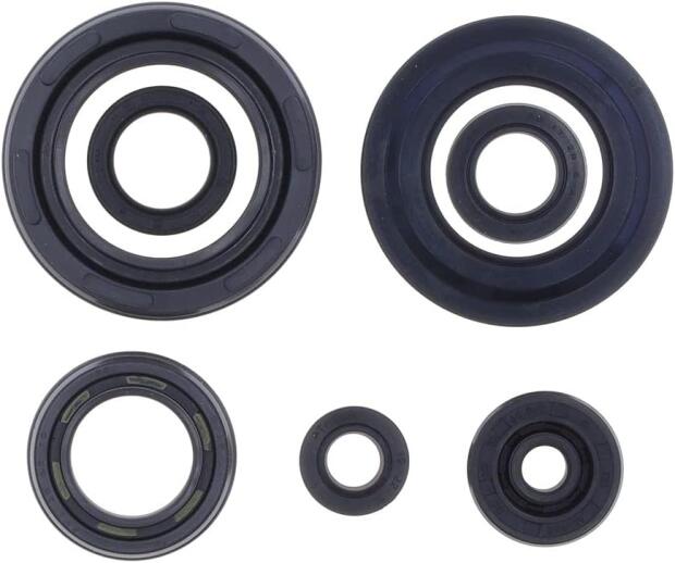 Sealing ring oil seal for Aprilia RS250/ Suzuki RGV250 shaft seals
