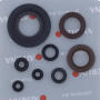 Sealing ring oil seal for Aprilia RS250/ Suzuki RGV250 shaft seals