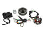 Lichtmaschine Evo2 Kontaktlose Zündung 6V 85W  für Kreidler, Sachs, Hercules, Puch, Zündapp