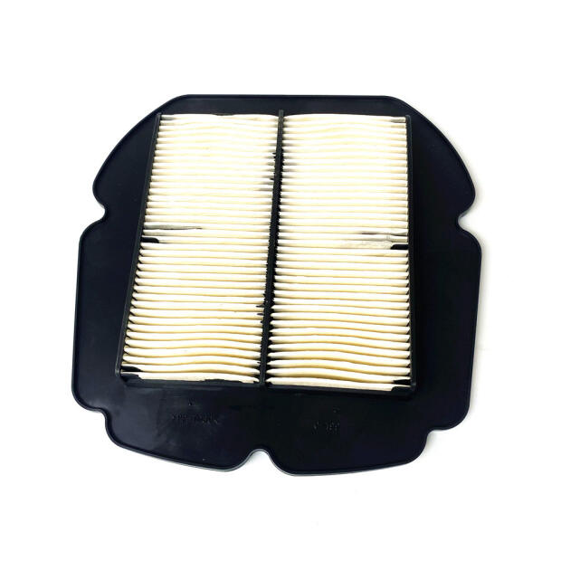 Luftfilter für Suzuki SF Gladius 650