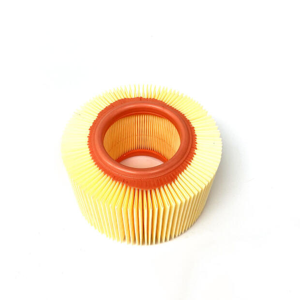 Luftfilter für BMW R 850 GS (K69-97/01) verschiedene Modelle