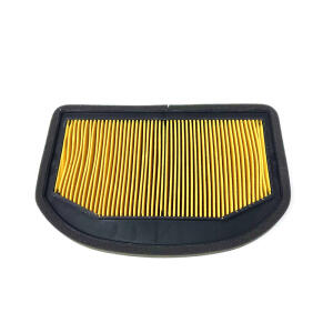 Luftfilter für Triumph Tiger 1200 2012-2021