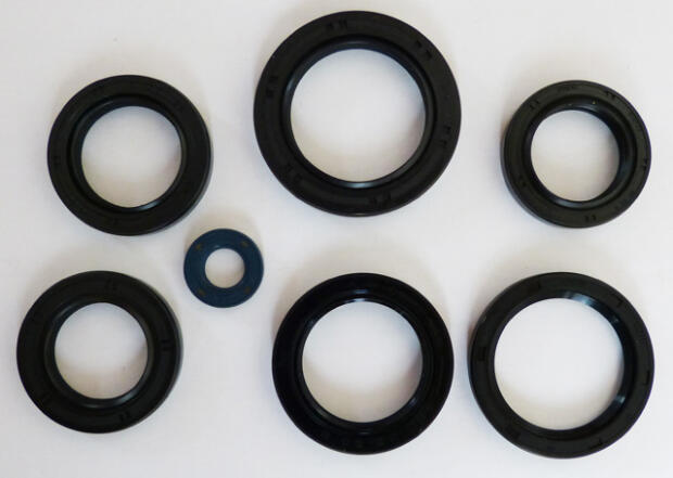 Dichtring Simmerring Motor für Kawasaki KFX 700 / KVF 360 Motor Wellendichtringe