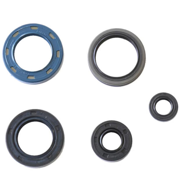 Dichtring Simmerring für Kymco KXR 250 Maxxer MXU Mongoose 250-300 Motor Überholung