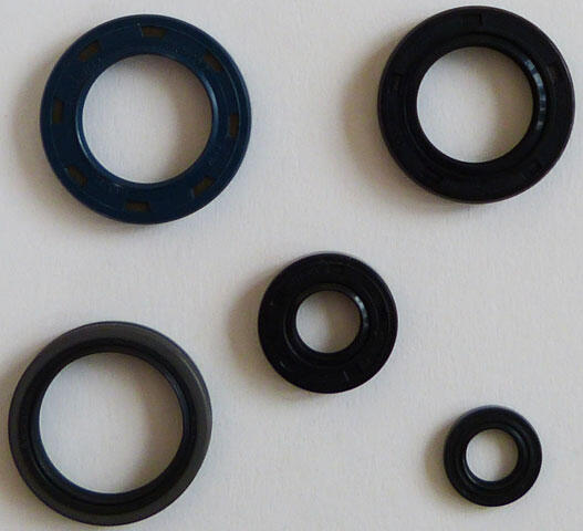 Dichtring Simmerring Kymco KXR 250 Maxxer MXU Mongoose 250-300 Motor Überholung