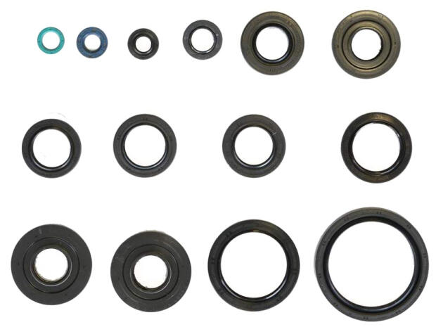 Dichtring Simmerring für Kawasaki KVF750 - 650 Brute Force Teryx KRF750 Motor Überholung