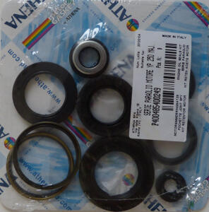 Engine Oil Seals Kit Linhai Hytrack SEIKEL Explorer