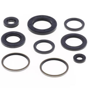 Dichtring Simmerring Linhai Hytrack Explorer SEIKEL Motor...