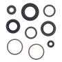 Engine Oil Seal Kit for Yamaha Majesty Aprilia Malaguti Benelli MBK 250