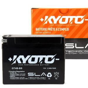 Battery Maintenance-Free YT4B-BS AGM Battery for Yamaha...